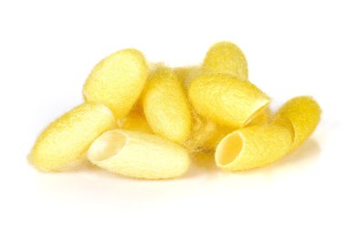 Hallettim özgeçmişlerine koza.