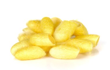 Hallettim özgeçmişlerine koza.