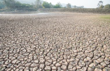 Dünya, kuraklık, kara kuru, Kuru kırık ağaç, Kuru Barajı.