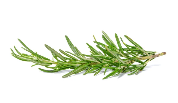 Rosemary on white background. — Stok fotoğraf