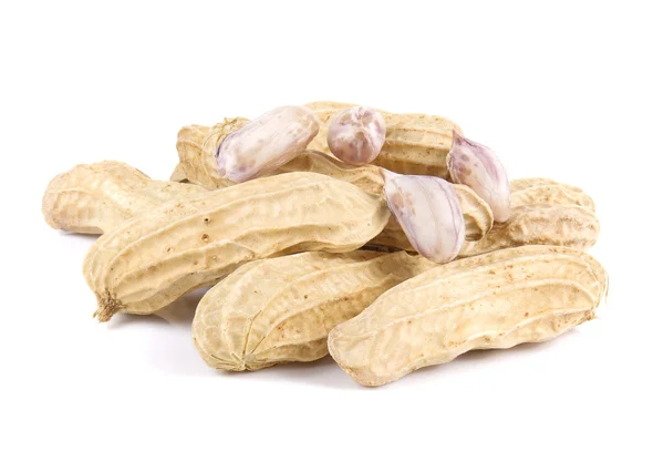 Proundnut, amendoim sobre fundo branco . — Fotografia de Stock