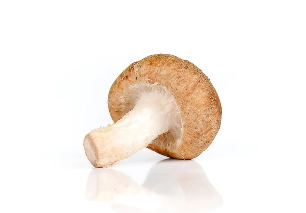 Fresh mushrooms,Dried Chinese mushroom  on white background. — Stock Photo, Image