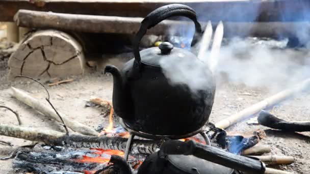 La vapeur chaude de la bouilloire bouchon noir. Sur le feu de bois . — Video