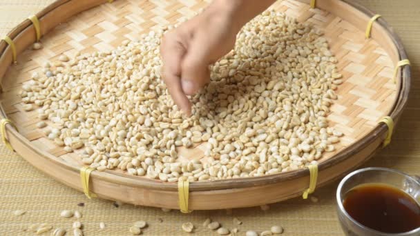 Sorting beans by hand On bamboo weave. — Stock Video