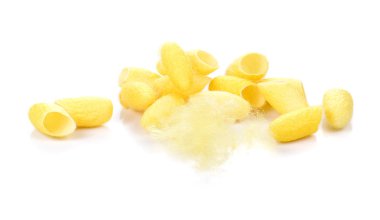 Koza, ipek beyaz arka plan üzerinde.