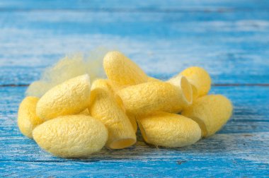 Koza, ipek mavi ahşap zemin üzerinde.