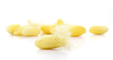 Koza, ipek beyaz arka plan üzerinde.