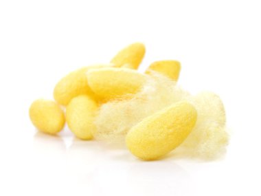 Koza, ipek beyaz arka plan üzerinde.