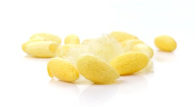 Koza, ipek beyaz arka plan üzerinde.