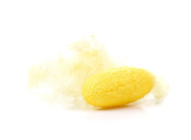 Koza, ipek beyaz arka plan üzerinde.