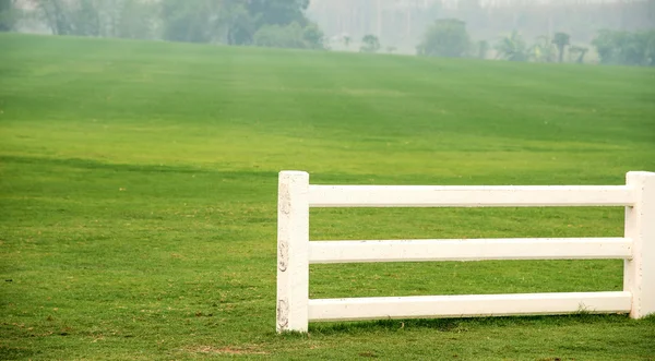 Cement white fence , White fence , grass.