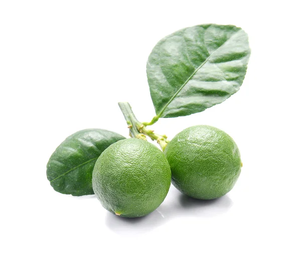 Limones verdes sobre fondo blanco. — Foto de Stock