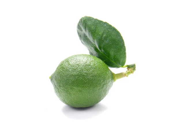 Limões verdes sobre fundo branco. — Fotografia de Stock