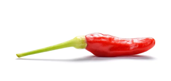 Chili vermelho, chili vermelho tailandês no fundo branco . — Fotografia de Stock