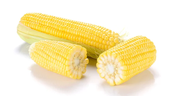 Maïs sur fond blanc. — Photo
