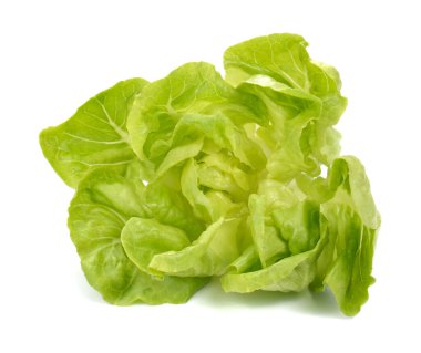 Taze marul salatası, beyaz zemin üzerine taze sebze salatası