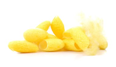 Koza, ipek beyaz arka plan üzerinde.