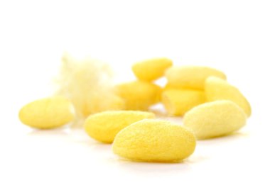 Koza, ipek beyaz arka plan üzerinde.