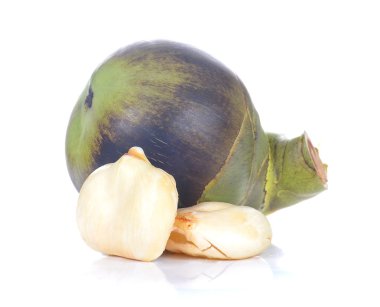 Toddy Palm, Palmyra palm beyaz arka plan üzerinde.