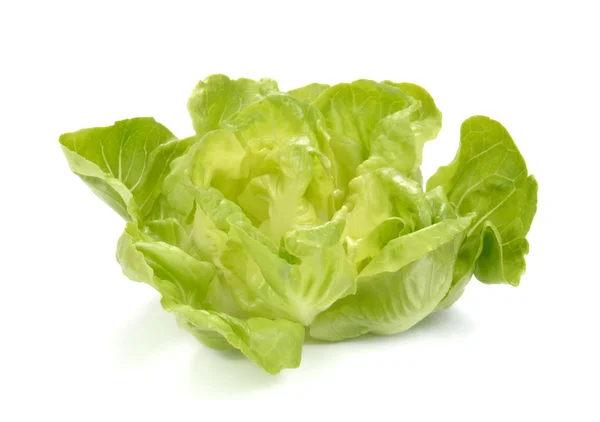 Insalata di lattuga fresca, Insalata di verdure fresche su sfondo bianco — Foto Stock