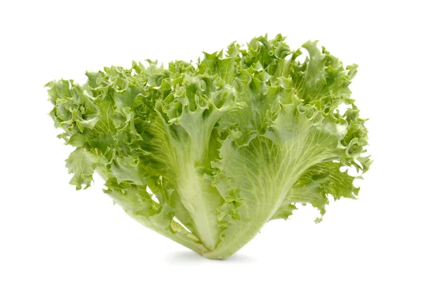 Färsk sallad sallad, färsk grönsak sallad på vit bakgrund — Stockfoto