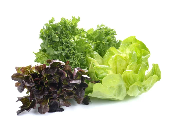Čerstvý hlávkový salát, zeleninový salát na bílém pozadí — Stock fotografie