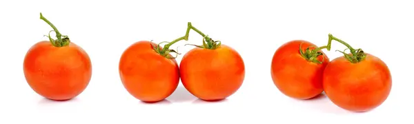 Collection Tomato on white background. — Stock Photo, Image