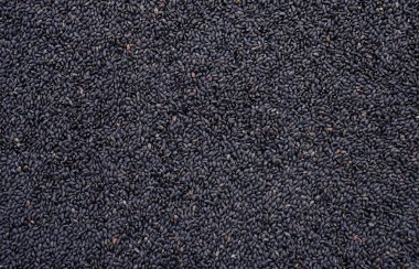 Arka plan için siyah susam.