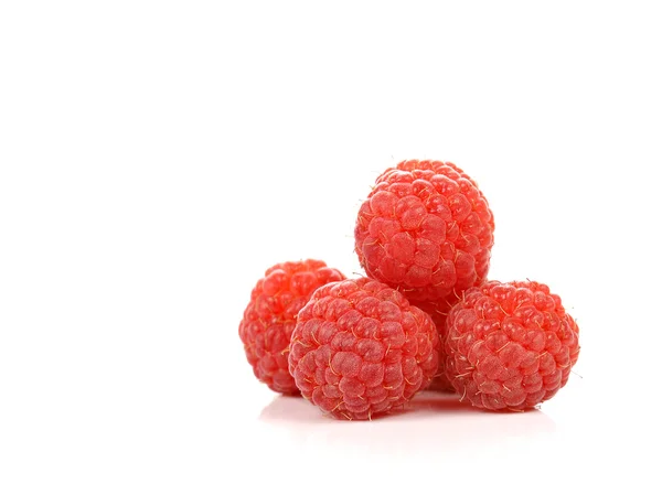 Rasberry no fundo branco . — Fotografia de Stock