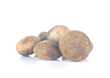 Astraeus mantar beyaz arka plan üzerinde ormandan gelen.