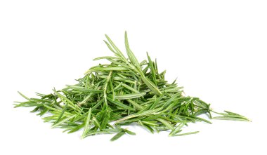 Rosemary on white background.