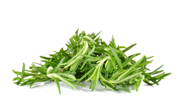 Rosemary on white background. — Stockfoto