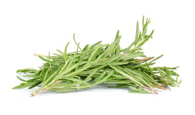 Rosemary on white background.