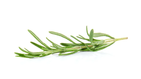 Rosemary on white background. — Stok fotoğraf