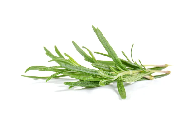 Rosemary on white background. — Stok fotoğraf