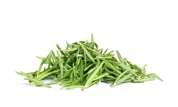 Rosemary on white background. — Stok fotoğraf