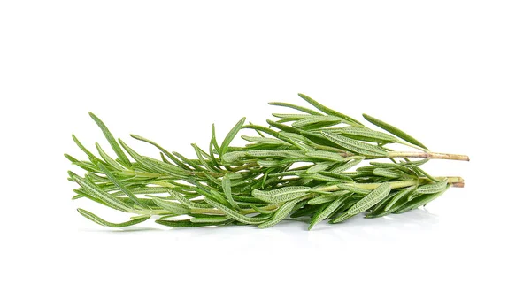 Rosemary em fundo branco . — Fotografia de Stock