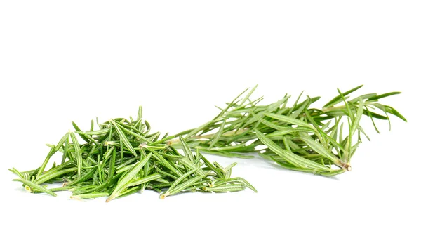 Rosemary on white background. — Stok fotoğraf