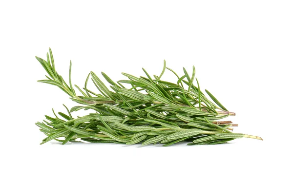 Rosemary on white background. — Stok fotoğraf