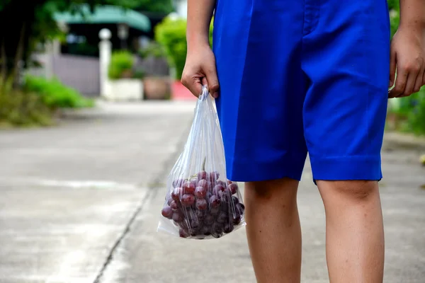 Étudiants marchant jusqu'à la maison, sacs de transport à main pour fruits (raisin ). — Photo