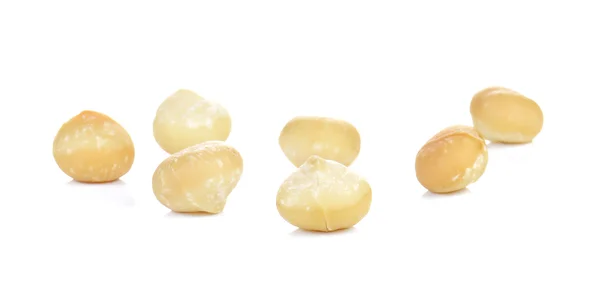 Macadamia beyaz zemin üzerine yerleştirilir.