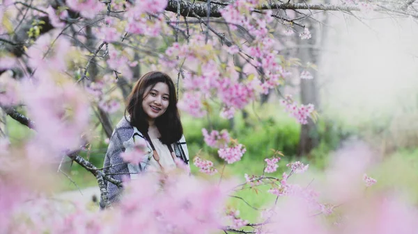 Asiática Adolescente Chica Viaja Felizmente Tomando Fotos Con Flores Cerezo —  Fotos de Stock