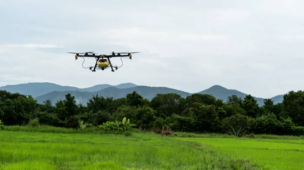 Drones for spraying fertilizers and chemicals in agriculture, modern agriculture, agricultural technology.