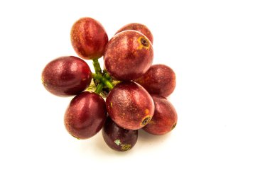 Beyaz bir arka plan üzerinde taze olgun kırmızı kahve çekirdekleri.