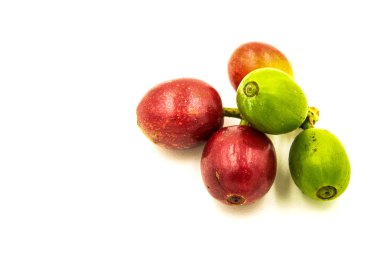 Beyaz bir arka plan üzerinde taze olgun kırmızı kahve çekirdekleri.