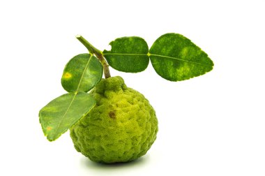 Beyaz arkaplanda Bergamot.