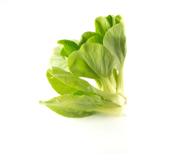 Verduras nabo no fundo branco . — Fotografia de Stock