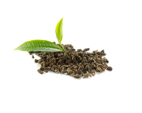 Fresh tea leaves, dried tea on white background. — Stock Photo, Image