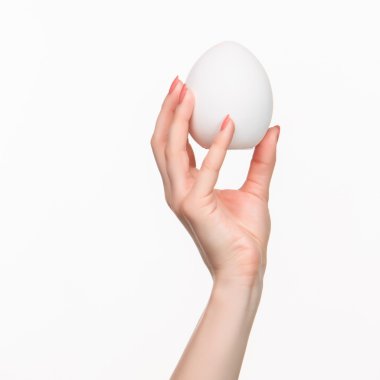 Kadın el beyaz boş strafor oval tutarak