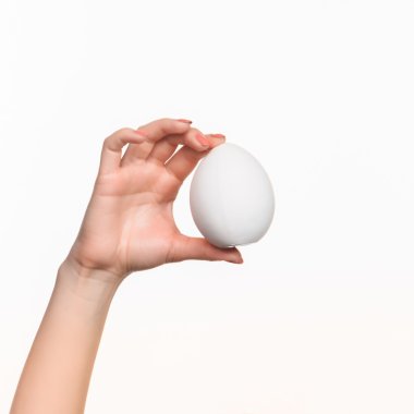 Kadın el beyaz boş strafor oval tutarak